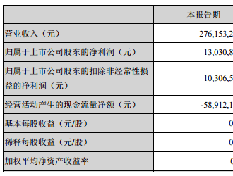 新海宜2017一季报净利润0.13亿 同比增长214.54%