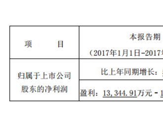 动力电池业绩大增，亿纬锂能预计上半年净利润超1.3亿元