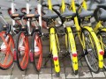 共享单车7：3市场格局初现，ofo、摩拜正上演马太效应