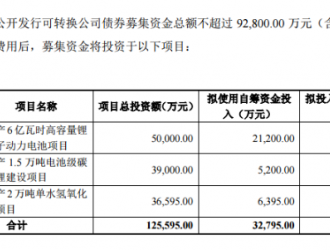 赣锋锂业用于年产6亿瓦时高容量锂离子动力电池等项目