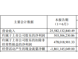 国机汽车上半年净利5.03 亿元 分时租赁等业务战果斐然