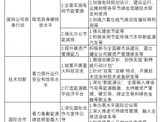 对国家电网“碳达峰、碳中和”行动方案的三点感想