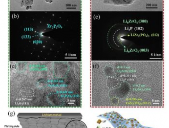 中科院上海硅酸盐所在锂金属电池异质导电界面设计中取得系列进展